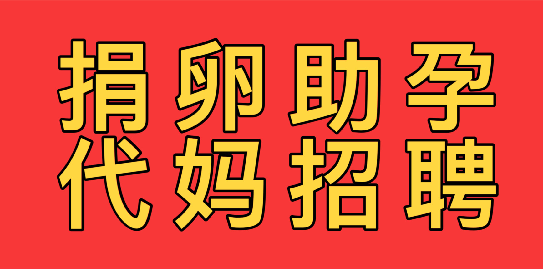 同志供卵代孕网